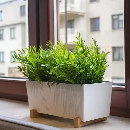 Apartament Jelitkowski Dwór Apartament *